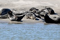 BERCK D6 20 06 25-301   Photo ACG