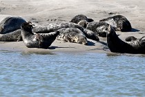 BERCK D6 20 06 25-302   Photo ACG