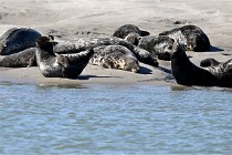 BERCK D6 20 06 25-303   Photo ACG