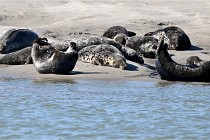 BERCK D6 20 06 25-304   Photo ACG