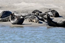 BERCK D6 20 06 25-306   Photo ACG