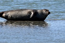 BERCK D6 20 06 25-325   Photo ACG