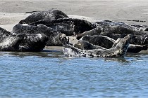 BERCK D6 20 06 25-344   Photo ACG