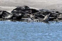 BERCK D6 20 06 25-345   Photo ACG