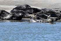 BERCK D6 20 06 25-346   Photo ACG