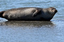 BERCK D6 20 06 25-360   Photo ACG