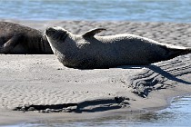 BERCK D6 20 06 25-366   Photo ACG
