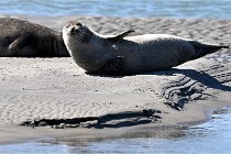 BERCK D6 20 06 25-367   Photo ACG