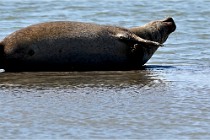 BERCK D6 20 06 25-375   Photo ACG