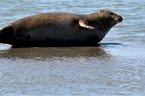 BERCK D6 20 06 25-379   Photo ACG