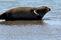 BERCK D6 20 06 25-380   Photo ACG