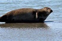 BERCK D6 20 06 25-386   Photo ACG