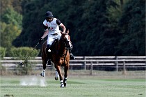 Polo Apremont D500 20-09-11 0597   Photos ACG 2020