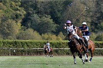 Polo Apremont D500 20-09-11 0608   Photos ACG 2020