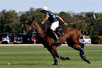 Polo Apremont D500 20-09-11 0620   Photos ACG 2020