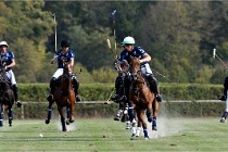 Polo Apremont D500 20-09-11 0645   Photos ACG 2020