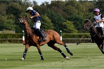 Polo Apremont D500 20-09-11 0661   Photos ACG 2020