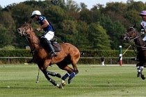 Polo Apremont D500 20-09-11 0662   Photos ACG 2020