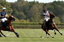 Polo Apremont D500 20-09-11 0789   Photos ACG 2020