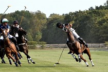 Polo Apremont D500 20-09-11 0796   Photos ACG 2020