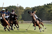 Polo Apremont D500 20-09-11 0797   Photos ACG 2020