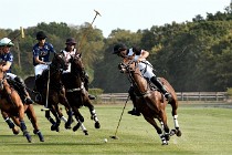 Polo Apremont D500 20-09-11 0798   Photos ACG 2020