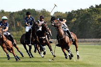 Polo Apremont D500 20-09-11 0799   Photos ACG 2020