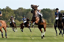 Polo Apremont D500 20-09-11 0801   Photos ACG 2020