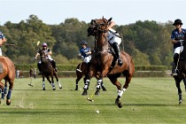 Polo Apremont D500 20-09-11 0802   Photos ACG 2020