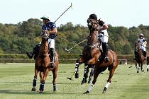 Polo Apremont D500 20-09-11 0806   Photos ACG 2020