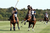 Polo Apremont D500 20-09-11 0807   Photos ACG 2020