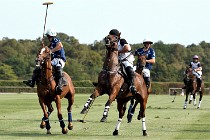 Polo Apremont D500 20-09-11 0808   Photos ACG 2020