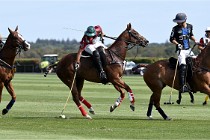 Polo Apremont D6 20-09-11 0032   Photo ACG