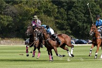 Polo Apremont D6 20-09-11 0108   Photo ACG