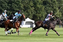 Polo Apremont D6 20-09-11 0139   Photo ACG