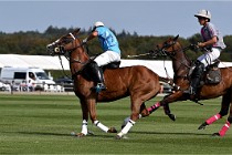 Polo Apremont D6 20-09-11 0183   Photo ACG