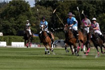 Polo Apremont D6 20-09-11 0196   Photo ACG