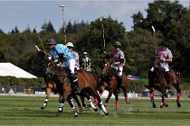 Polo Apremont D6 20-09-11 0200   Photo ACG