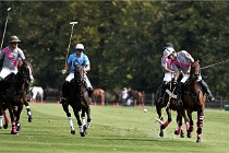 Polo Apremont D6 20-09-11 0239   Photo ACG