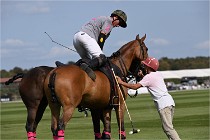 Polo Apremont D6 20-09-11 0275   Photo ACG