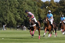 Polo Apremont D6 20-09-11 0336   Photo ACG