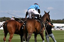 Polo Apremont D6 20-09-11 0348   Photo ACG