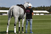 Polo Apremont D6 20-09-11 0368   Photo ACG