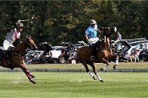 Polo Apremont D6 20-09-11 0370   Photo ACG