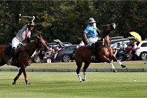 Polo Apremont D6 20-09-11 0372   Photo ACG