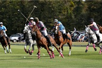 Polo Apremont D6 20-09-11 0387   Photo ACG