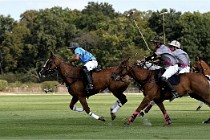 Polo Apremont D6 20-09-11 0402   Photo ACG