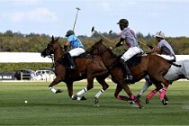 Polo Apremont D6 20-09-11 0406   Photo ACG