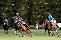 Polo Apremont D6 20-09-11 0415   Photo ACG