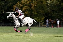 Polo Apremont D6 20-09-11 0421   Photo ACG